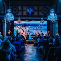 Light & Sound Shows