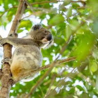 Half-day Tours