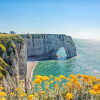 Tours & Sightseeing