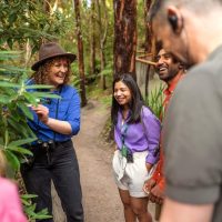 Eco Tours