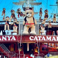 Catamaran Cruises