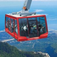 Trolley Tours