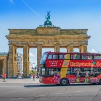Shore Excursions