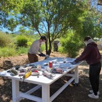 Art Classes