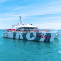 Tours & Sightseeing