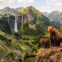 Nature & Wildlife
