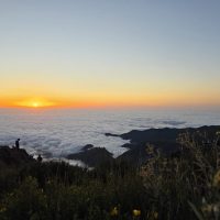 Half-day Tours