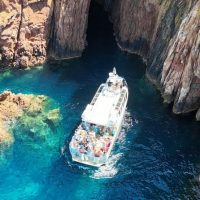 Boat Tours
