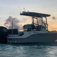 Fishing Charters & Tours