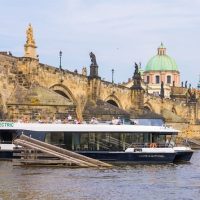 Day Cruises