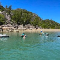 Boat Tours