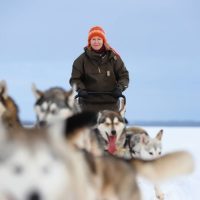 Holiday & Seasonal Tours