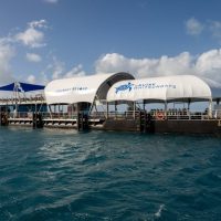 Day Trips & Excursions