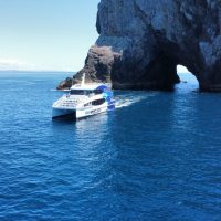 Cultural & Theme Tours
