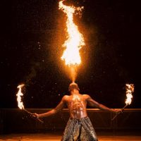 Family-friendly Shows