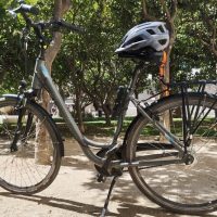 Bike Rentals