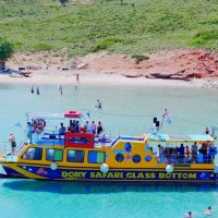Glass Bottom Boat Tours