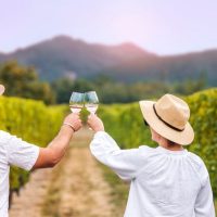 Food, Wine & Nightlife