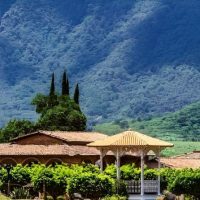 Multi-day Tours