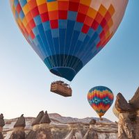 Half-day Tours