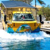 Boat Tours