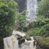 Audio Guided Tours