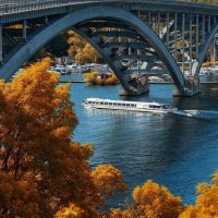 Day Cruises
