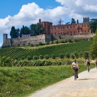 Multi-day & Extended Tours