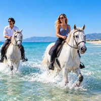 Horseback Riding