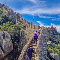 Full-day Tours
