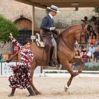 Family-friendly Shows