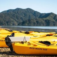 Full-day Tours