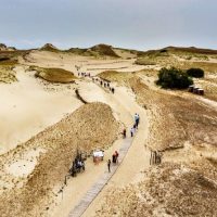 Cultural & Theme Tours