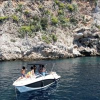 Day Cruises