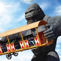 Sightseeing Tickets & Passes