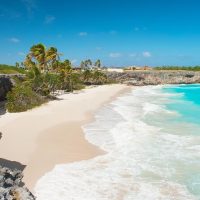 Cultural & Theme Tours