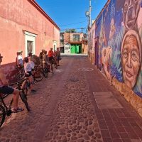 Bike & Mountain Bike Tours