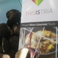 Bus & Minivan Tours