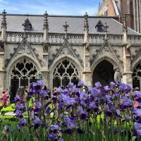 Half-day Tours