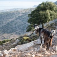 Full-day Tours