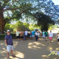 Walking Tours