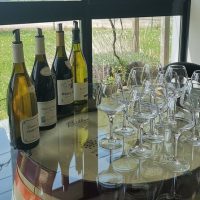 Wine Tasting & Winery Tours