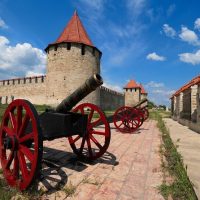 Tours & Sightseeing