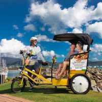 Private & Custom Tours