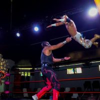 Shows, Concerts & Sports