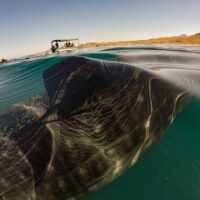 Photography Tours