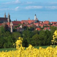 Bus & Minivan Tours