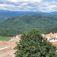 Bus & Minivan Tours