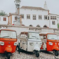 Tours & Sightseeing