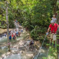 Ziplines